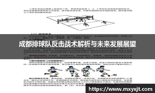 成都排球队反击战术解析与未来发展展望